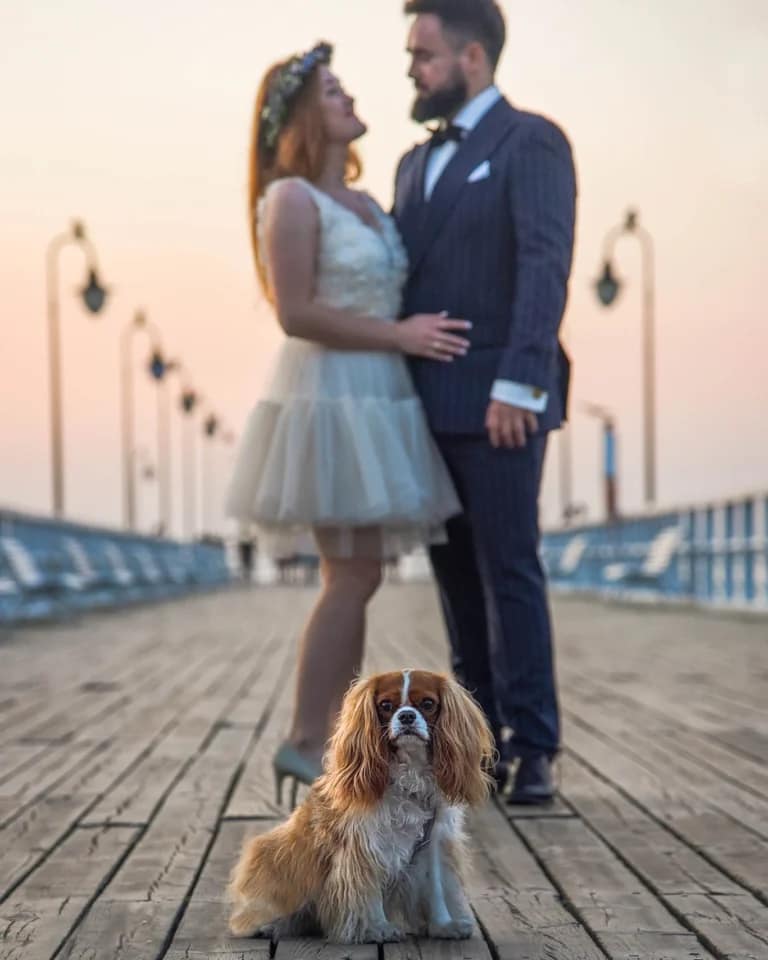 Instagram post from hanyphotography.gdynia. This post is in position 3.