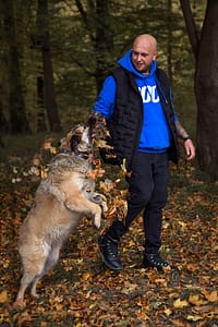 Psia fotografia fotograf portretowy gdynia