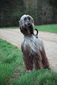 DSC_0229-Edit - for web fotograf portretowy gdynia