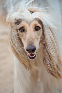 DSC_0312-Edit - for web fotograf portretowy gdynia