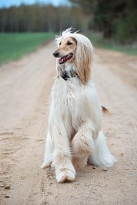 DSC_0324-Edit - for web fotograf portretowy gdynia