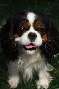 DSC_2576-Edit - for web