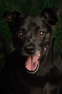 DSC_3005-Edit - for web