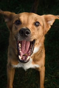 DSC_3443-Edit - for web