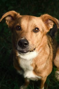 DSC_3459-Edit - for web