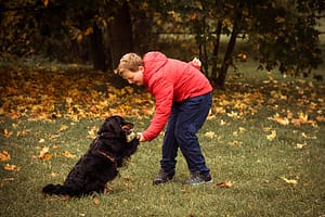 Psia fotografia fotograf portretowy gdynia