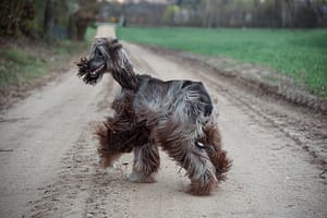 DSC_0274-Edit - for web fotograf portretowy gdynia