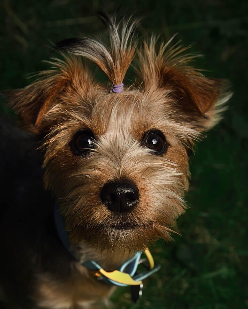 Instagram post from hanyphotography.gdynia. This post is in position 1.