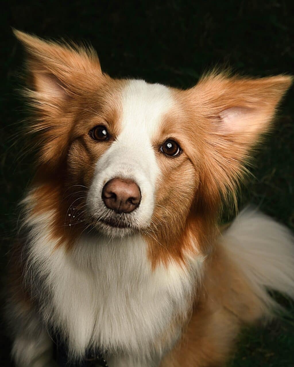 Instagram post from hanyphotography.gdynia. This post is in position 1.