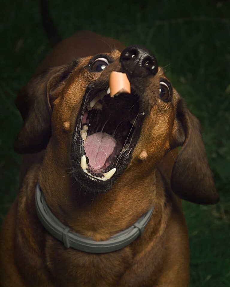 Instagram post from hanyphotography.gdynia. This post is in position 9.