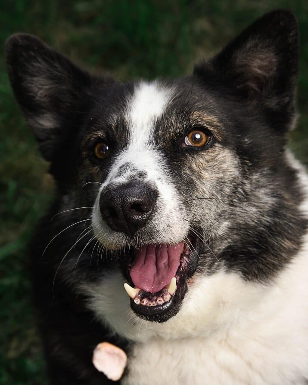 Instagram post from hanyphotography.gdynia. This post is in position 2.