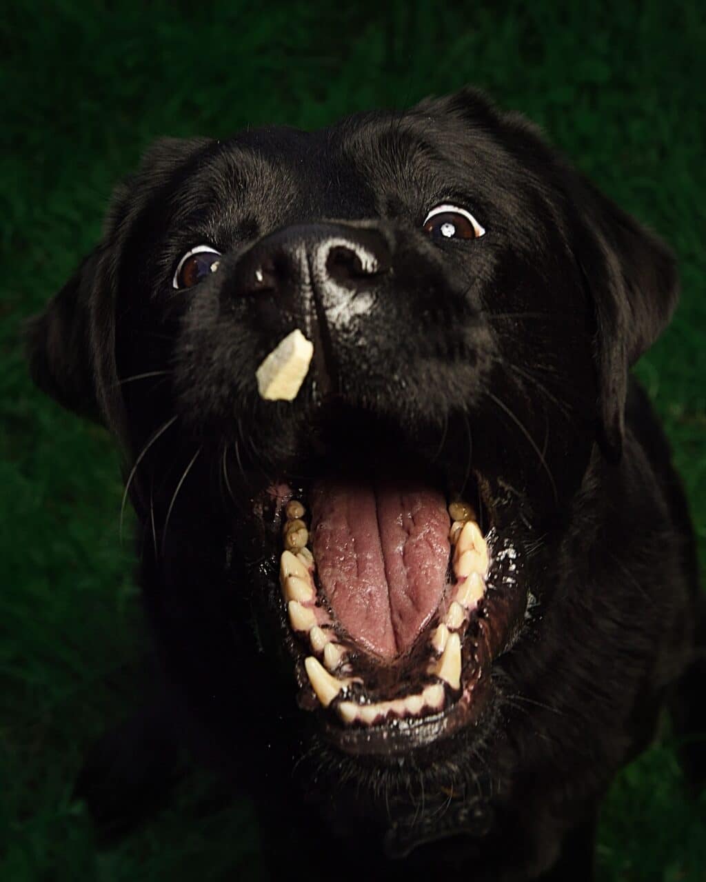 Instagram post from hanyphotography.gdynia. This post is in position 2.