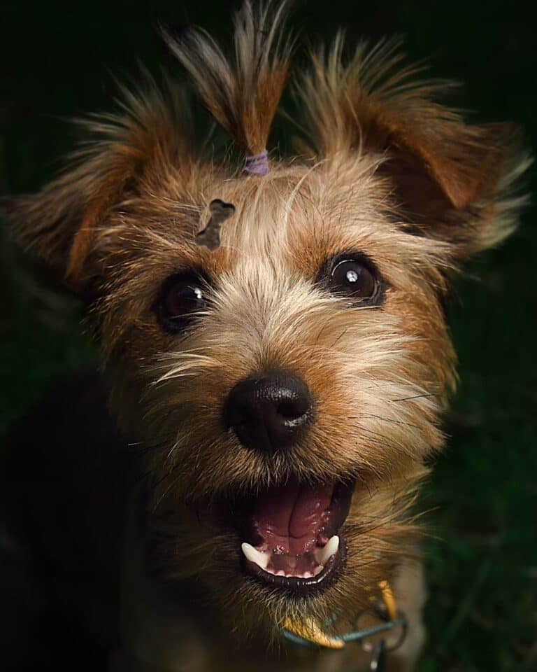 Instagram post from hanyphotography.gdynia. This post is in position 15.