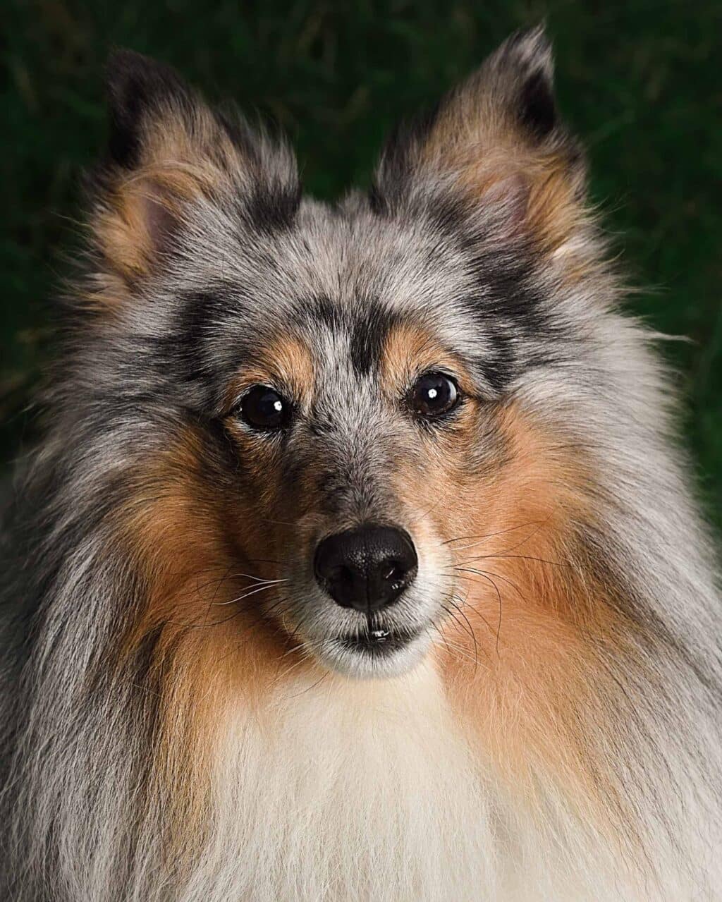 Instagram post from hanyphotography.gdynia. This post is in position 1.