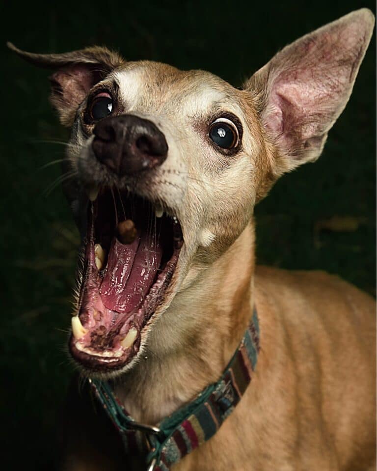 Instagram post from hanyphotography.gdynia. This post is in position 7.