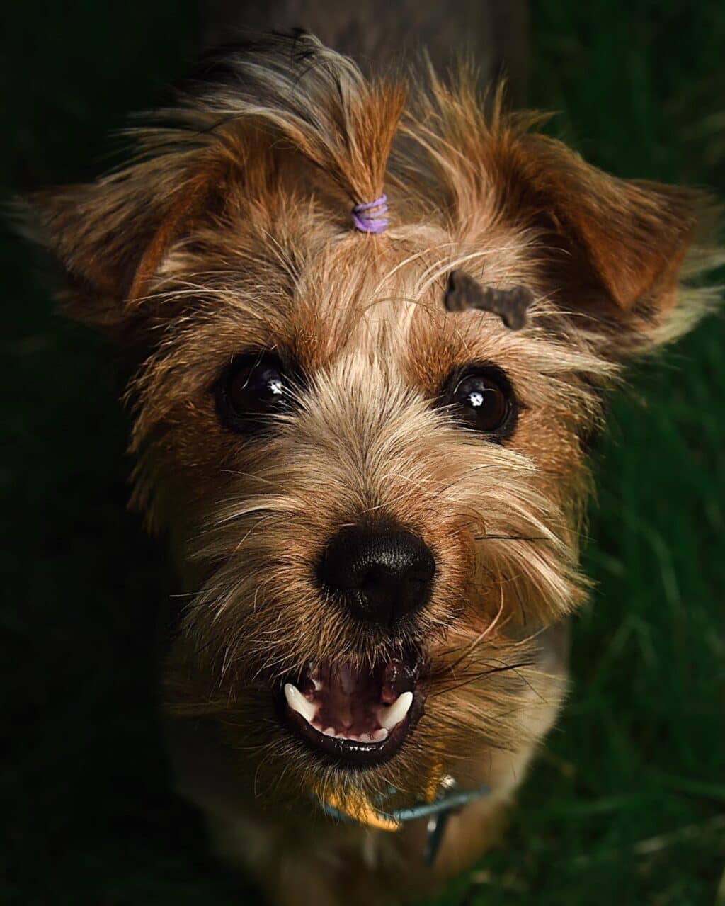 Instagram post from hanyphotography.gdynia. This post is in position 2.