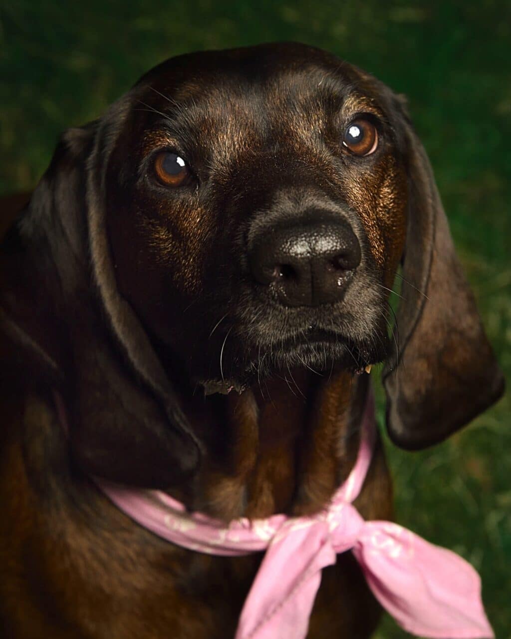 Instagram post from hanyphotography.gdynia. This post is in position 1.