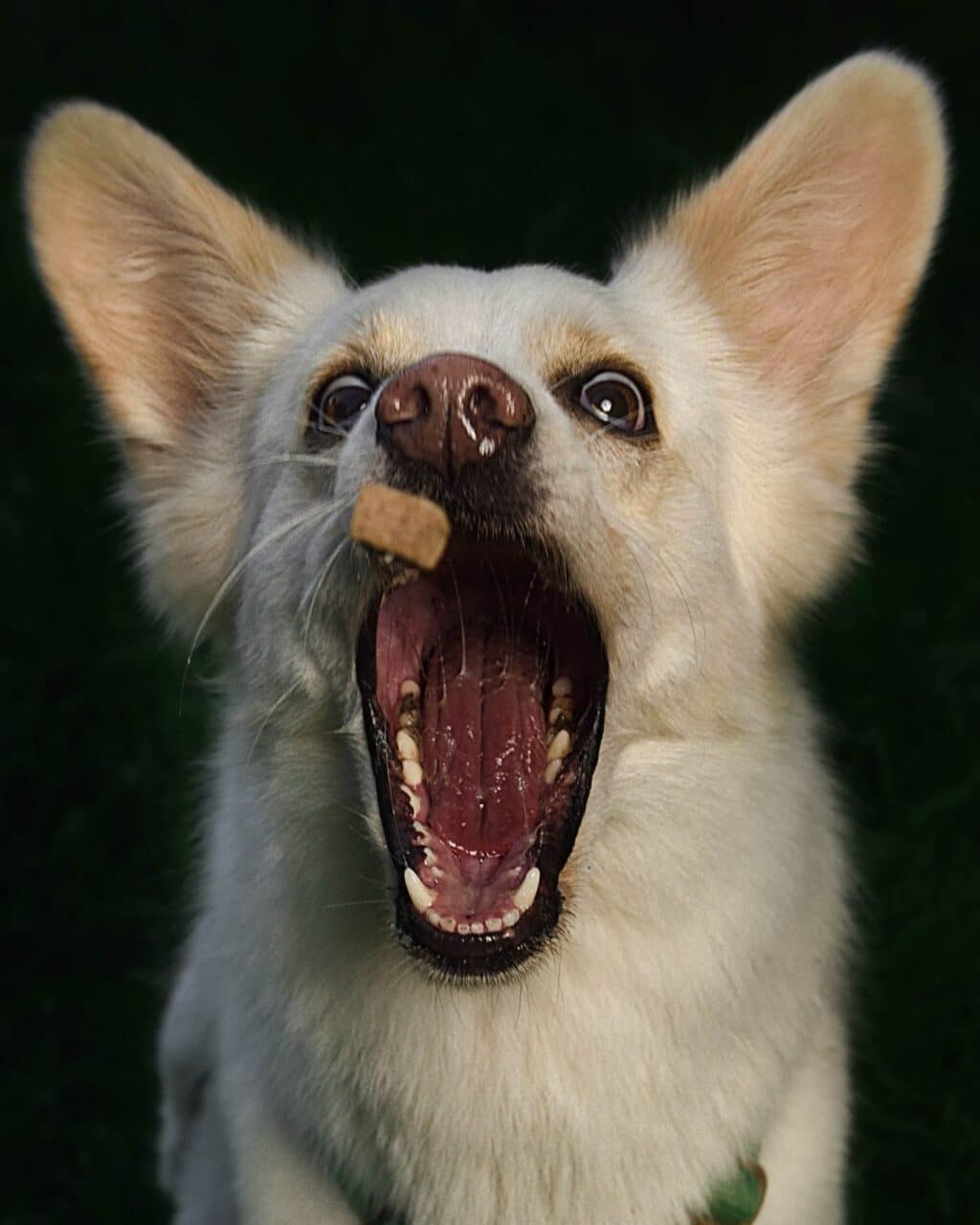 Instagram post from hanyphotography.gdynia. This post is in position 2.