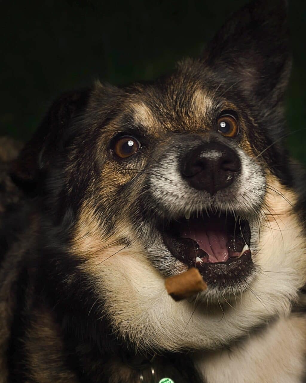 Instagram post from hanyphotography.gdynia. This post is in position 2.