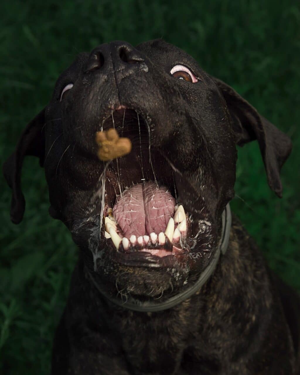 Instagram post from hanyphotography.gdynia. This post is in position 2.