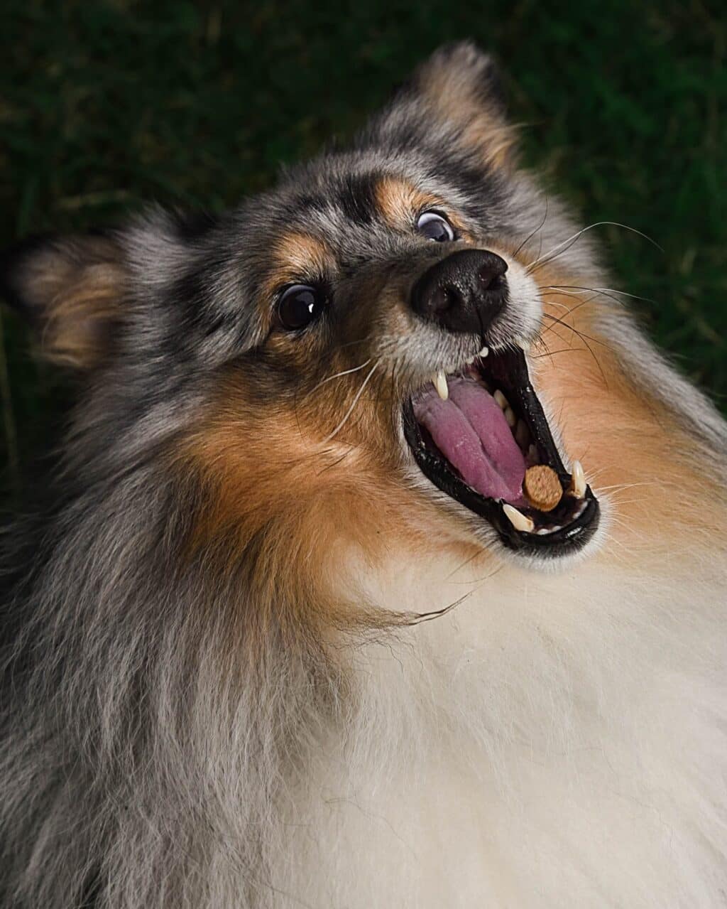 Instagram post from hanyphotography.gdynia. This post is in position 2.