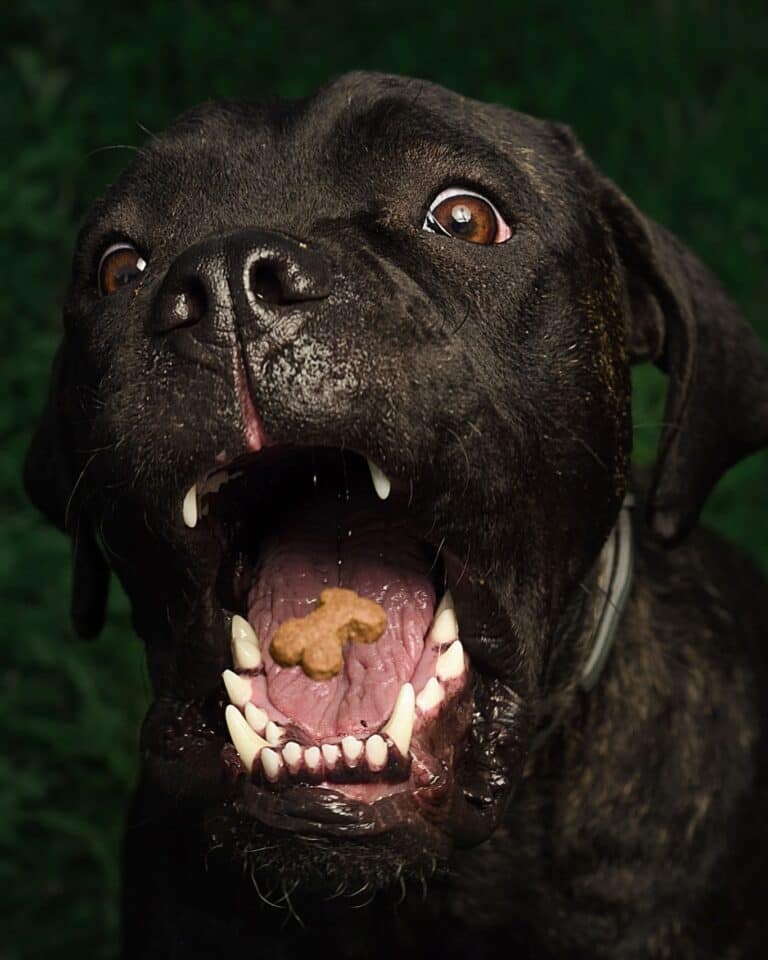 Instagram post from hanyphotography.gdynia. This post is in position 5.