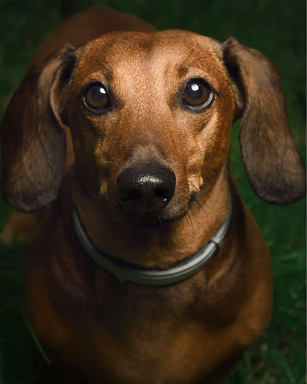 Instagram post from hanyphotography.gdynia. This post is in position 1.