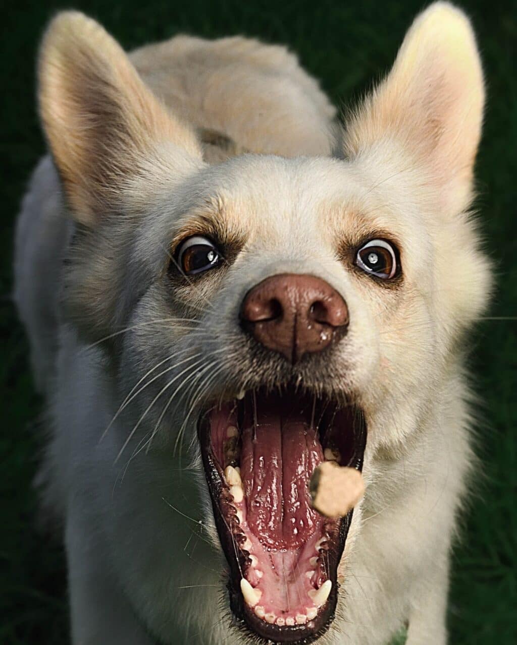 Instagram post from hanyphotography.gdynia. This post is in position 0.