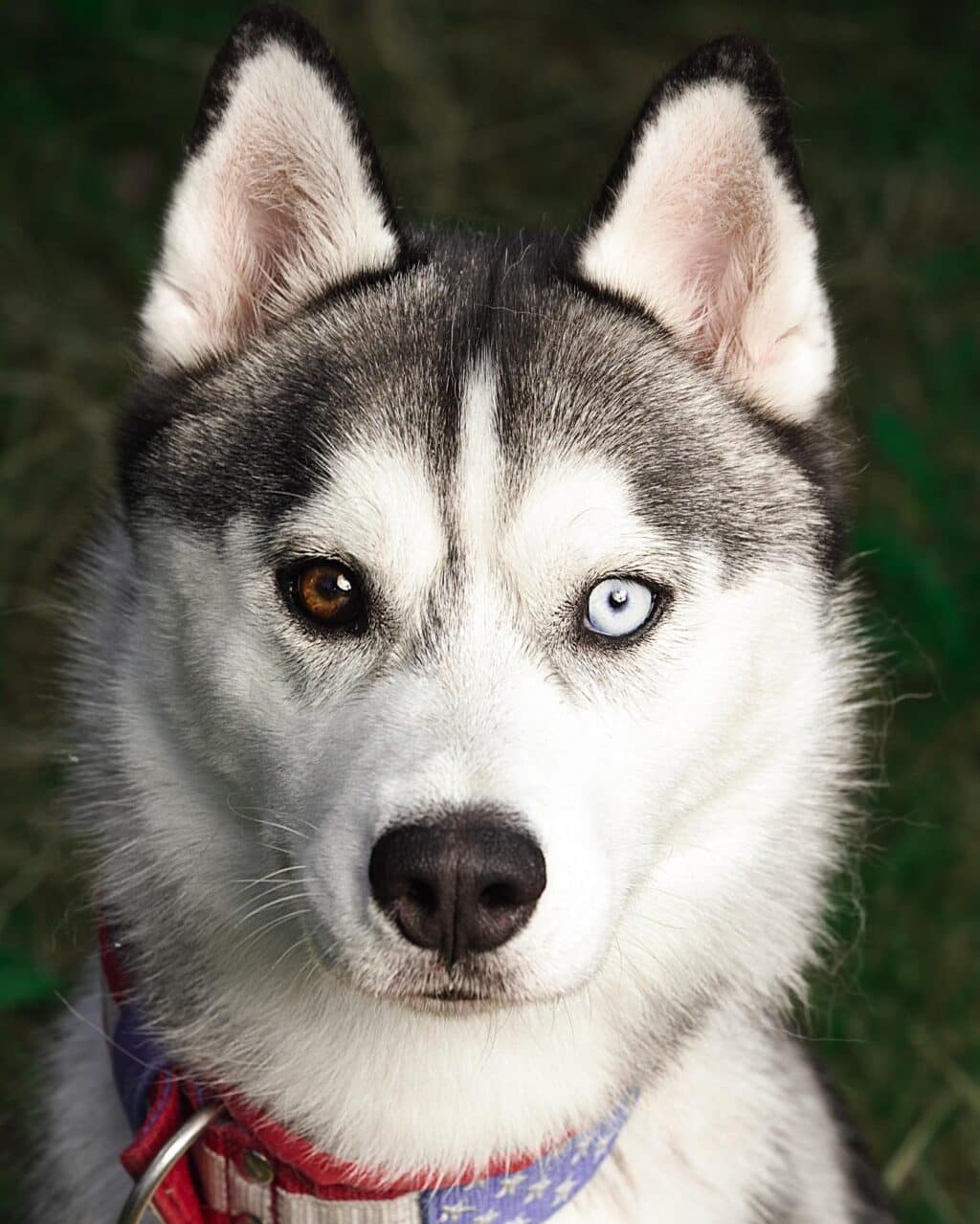 Instagram post from hanyphotography.gdynia. This post is in position 1.