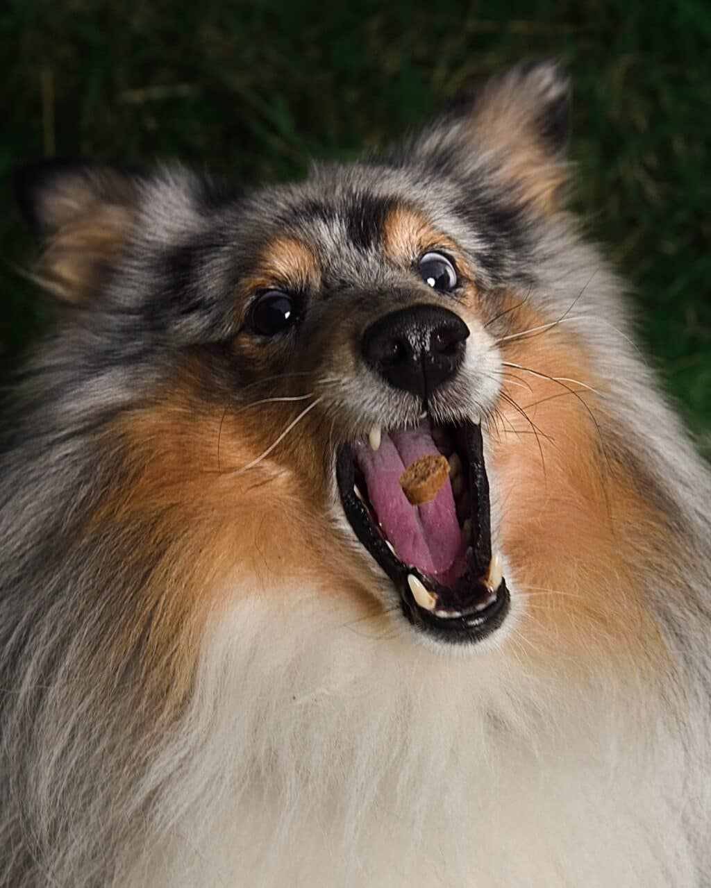 Instagram post from hanyphotography.gdynia. This post is in position 0.