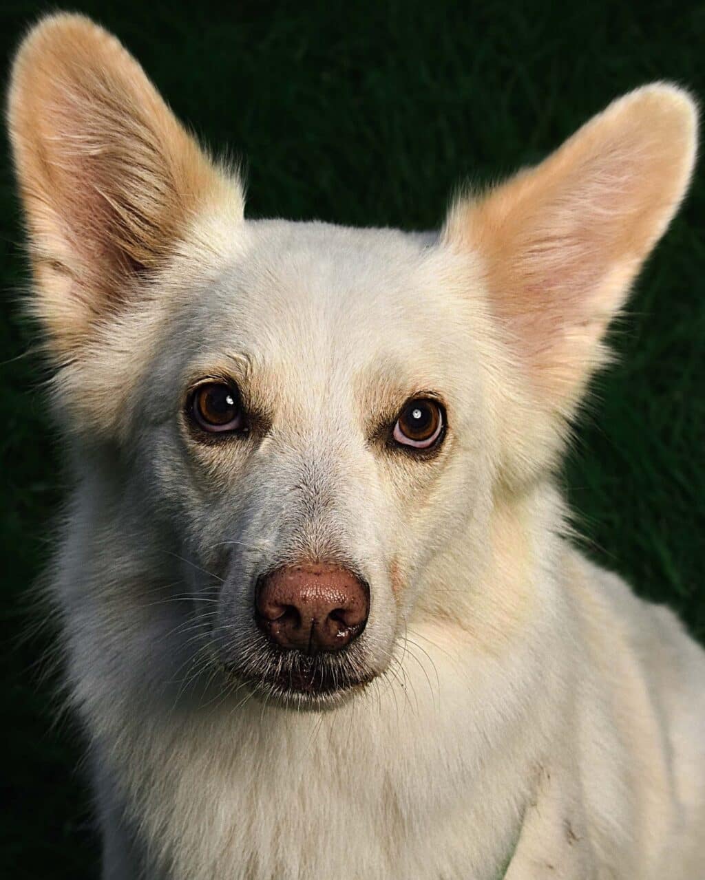 Instagram post from hanyphotography.gdynia. This post is in position 1.