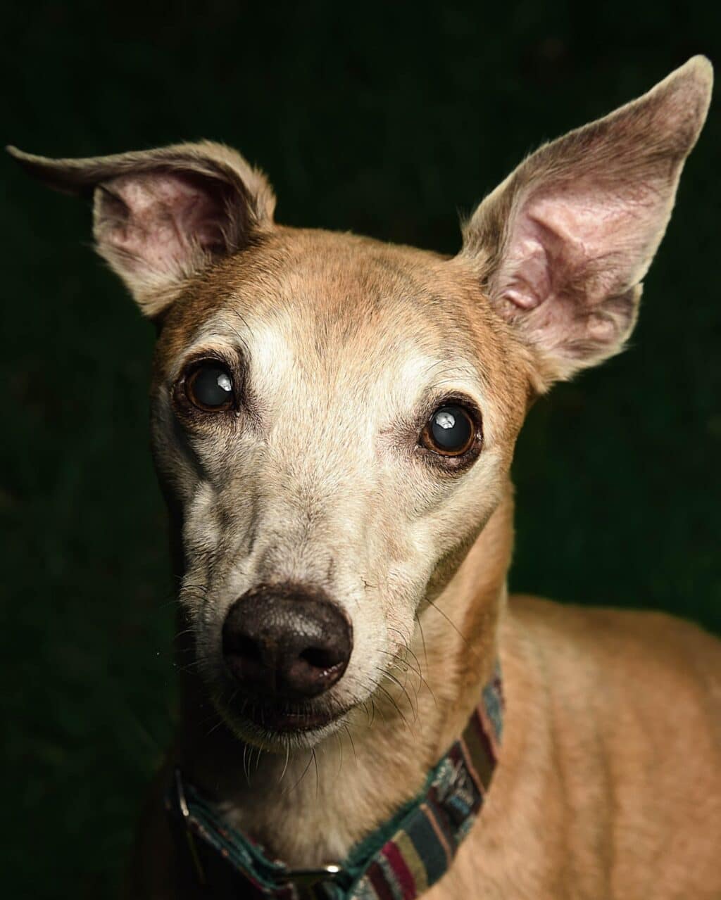 Instagram post from hanyphotography.gdynia. This post is in position 1.