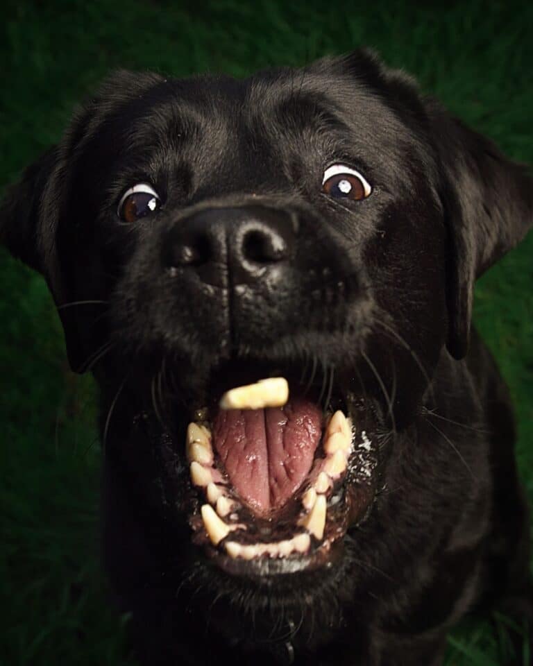 Instagram post from hanyphotography.gdynia. This post is in position 2.