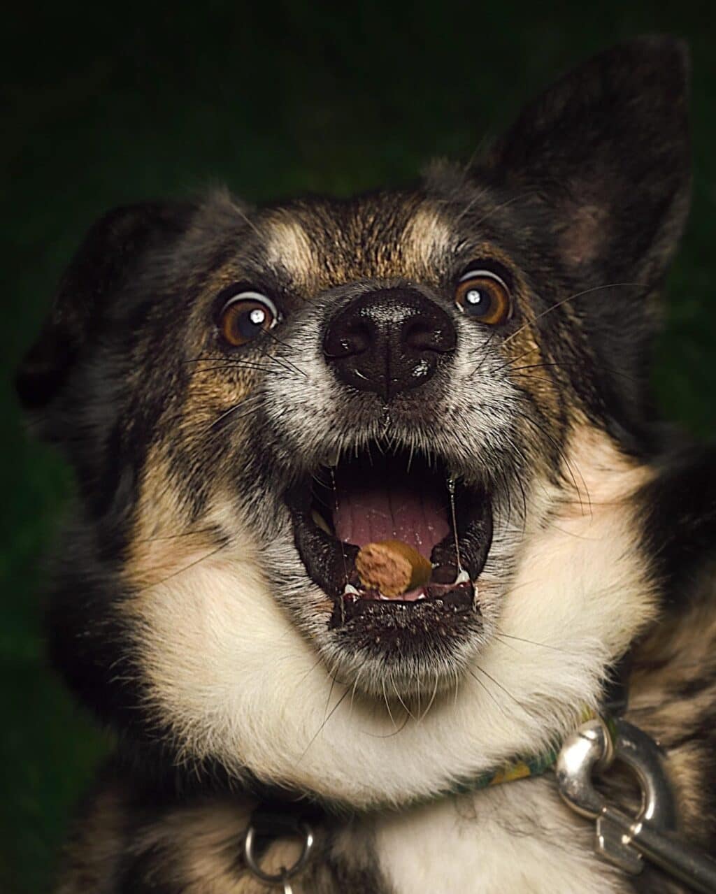 Instagram post from hanyphotography.gdynia. This post is in position 0.