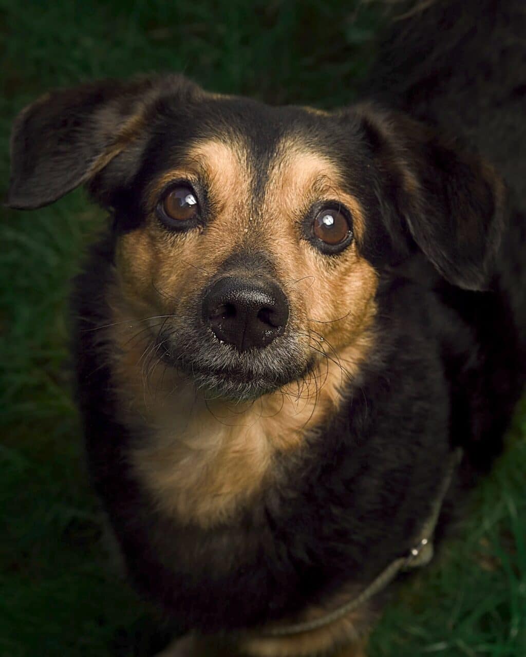 Instagram post from hanyphotography.gdynia. This post is in position 1.