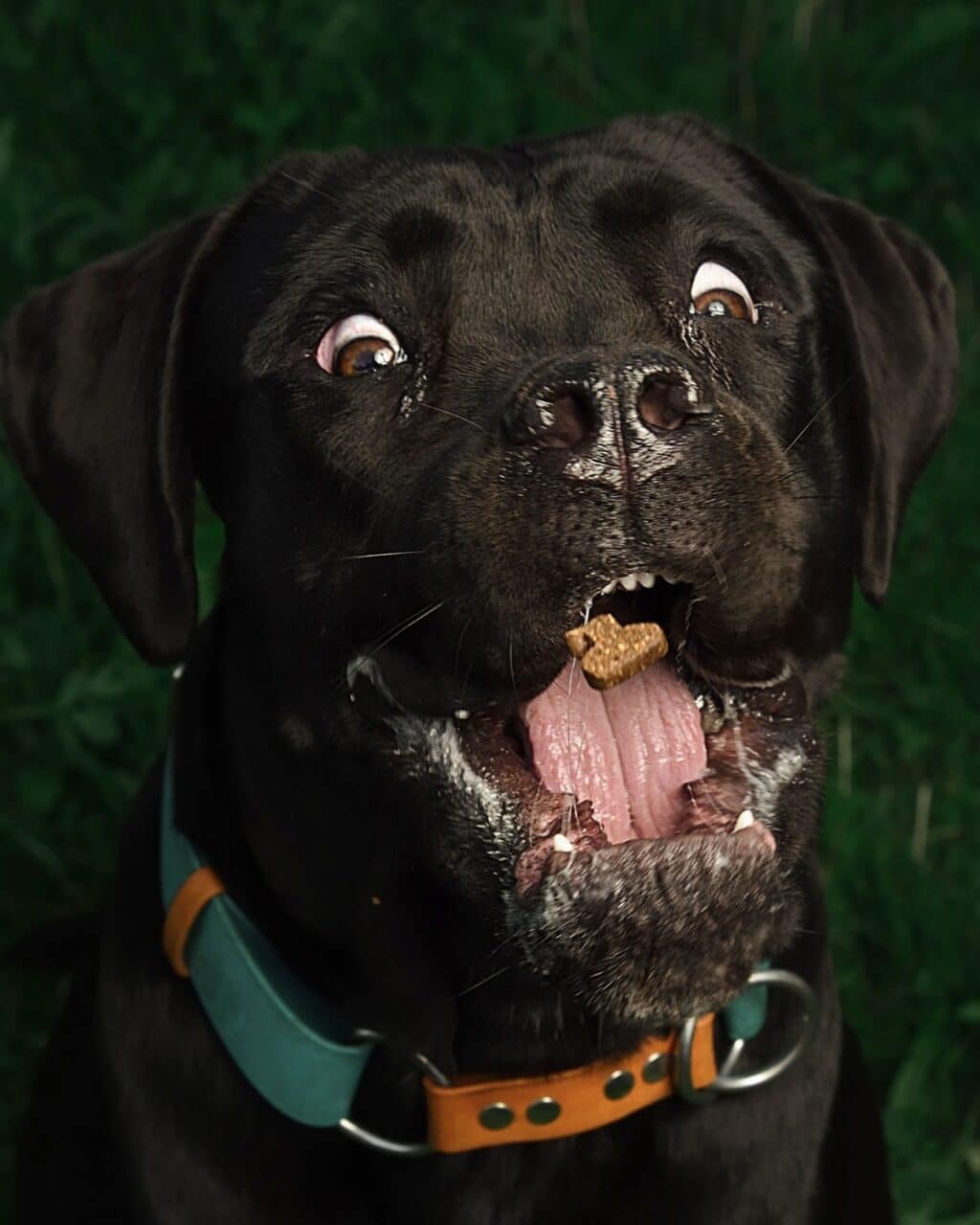 Instagram post from hanyphotography.gdynia. This post is in position 0.