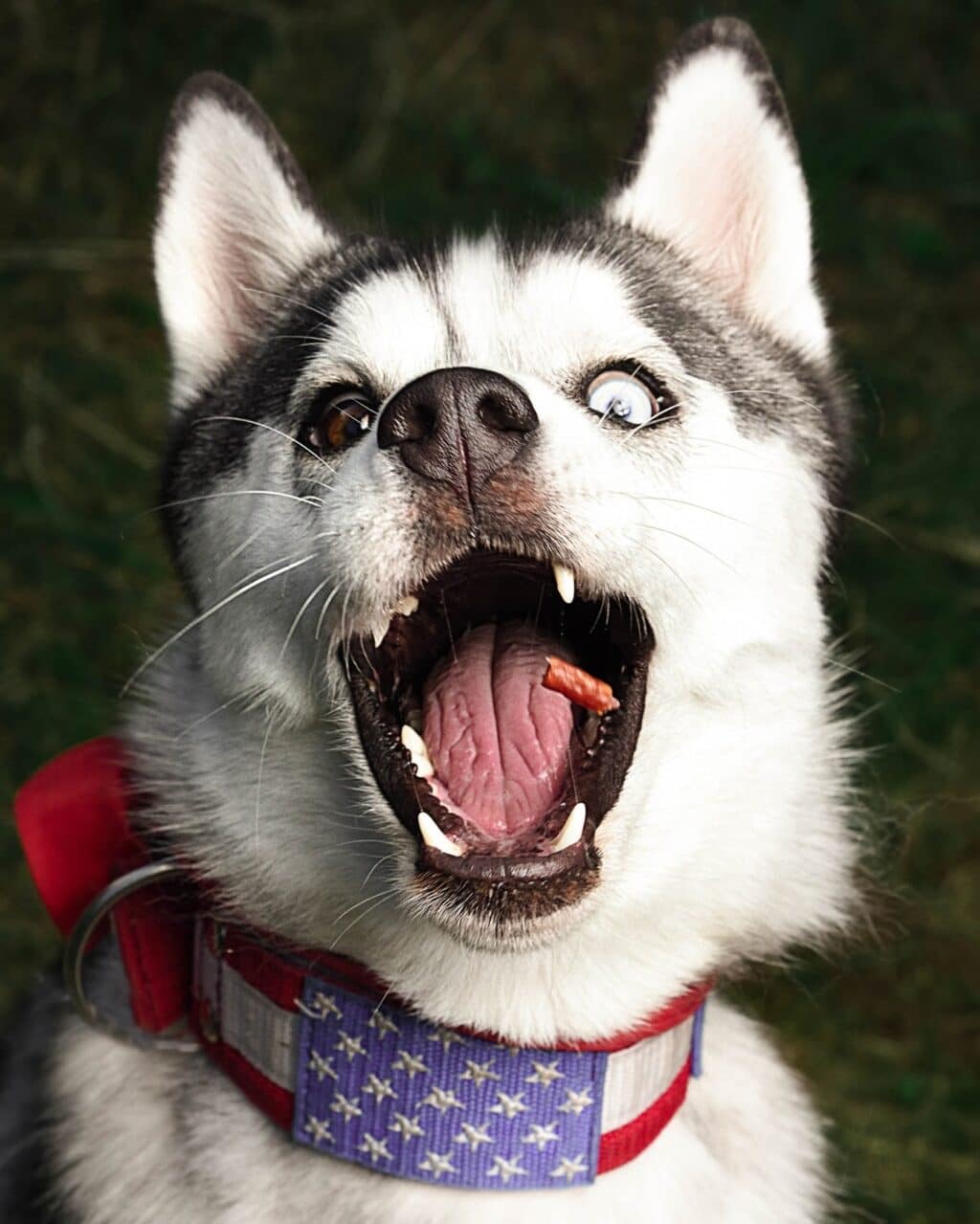 Instagram post from hanyphotography.gdynia. This post is in position 0.