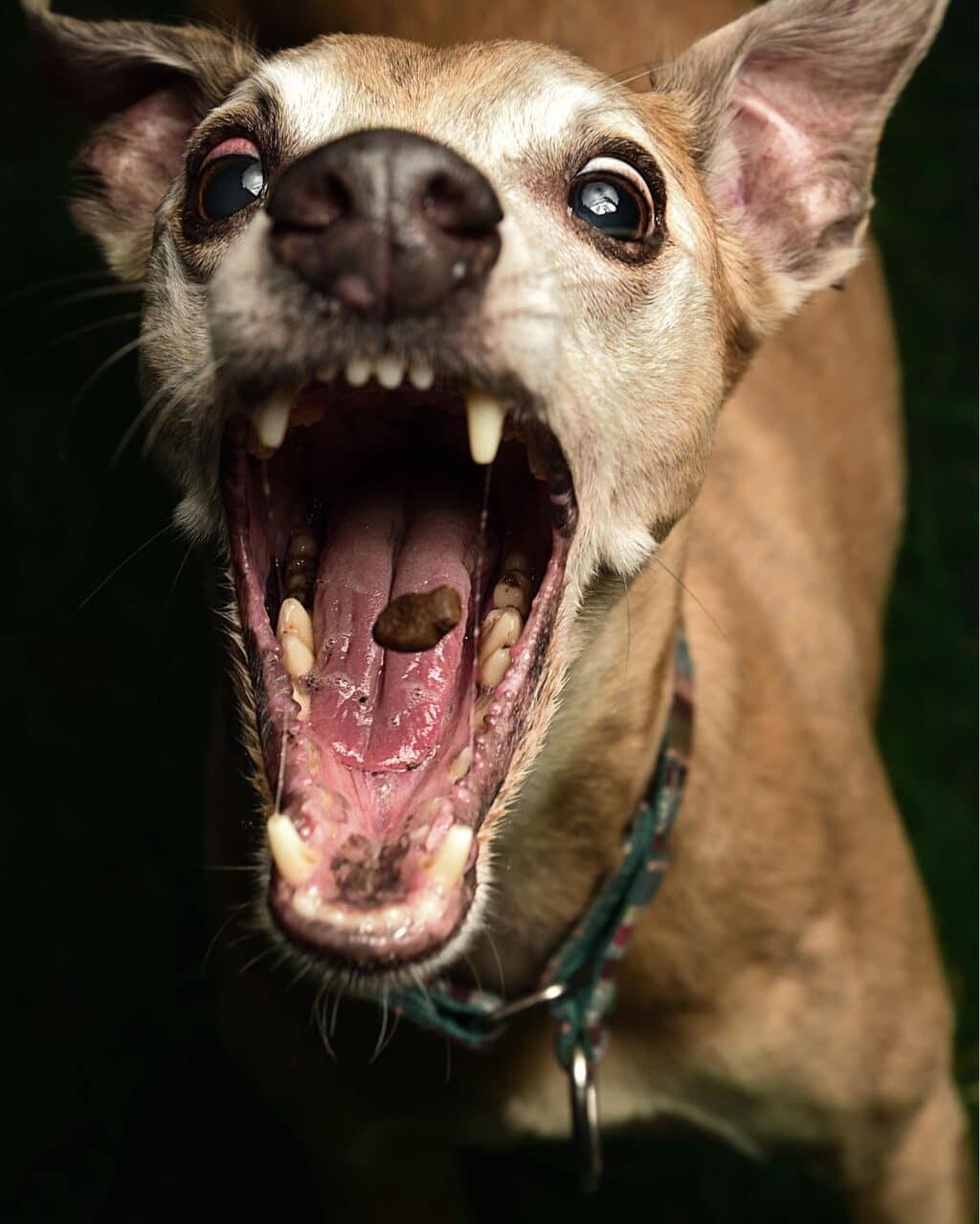 Instagram post from hanyphotography.gdynia. This post is in position 2.