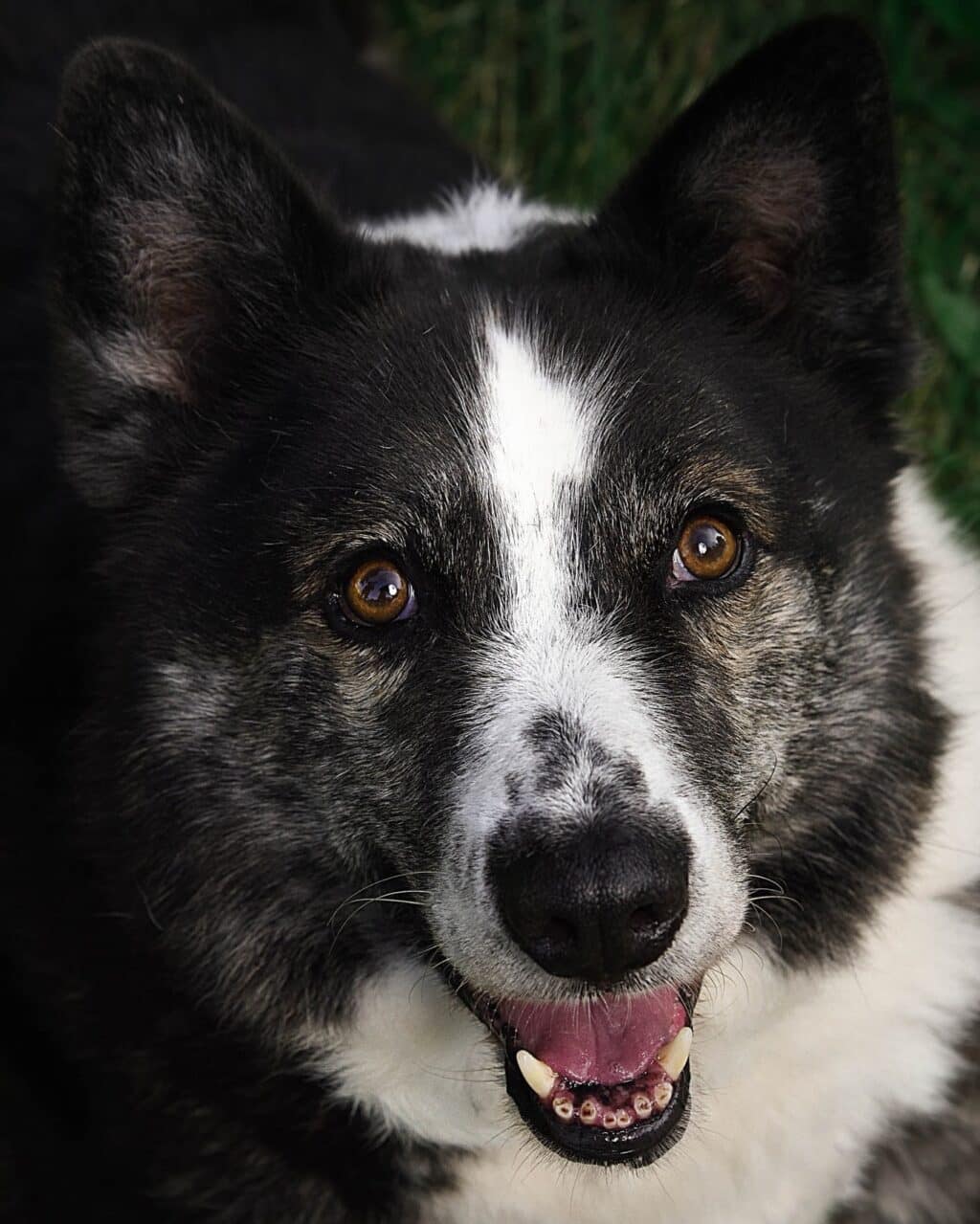 Instagram post from hanyphotography.gdynia. This post is in position 1.