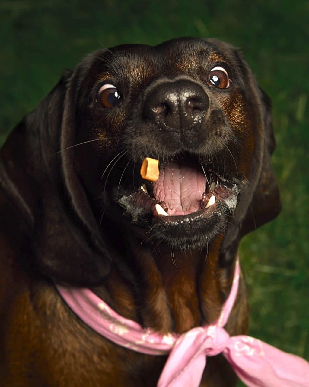 Instagram post from hanyphotography.gdynia. This post is in position 0.