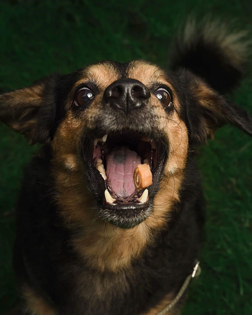 Instagram post from hanyphotography.gdynia. This post is in position 0.