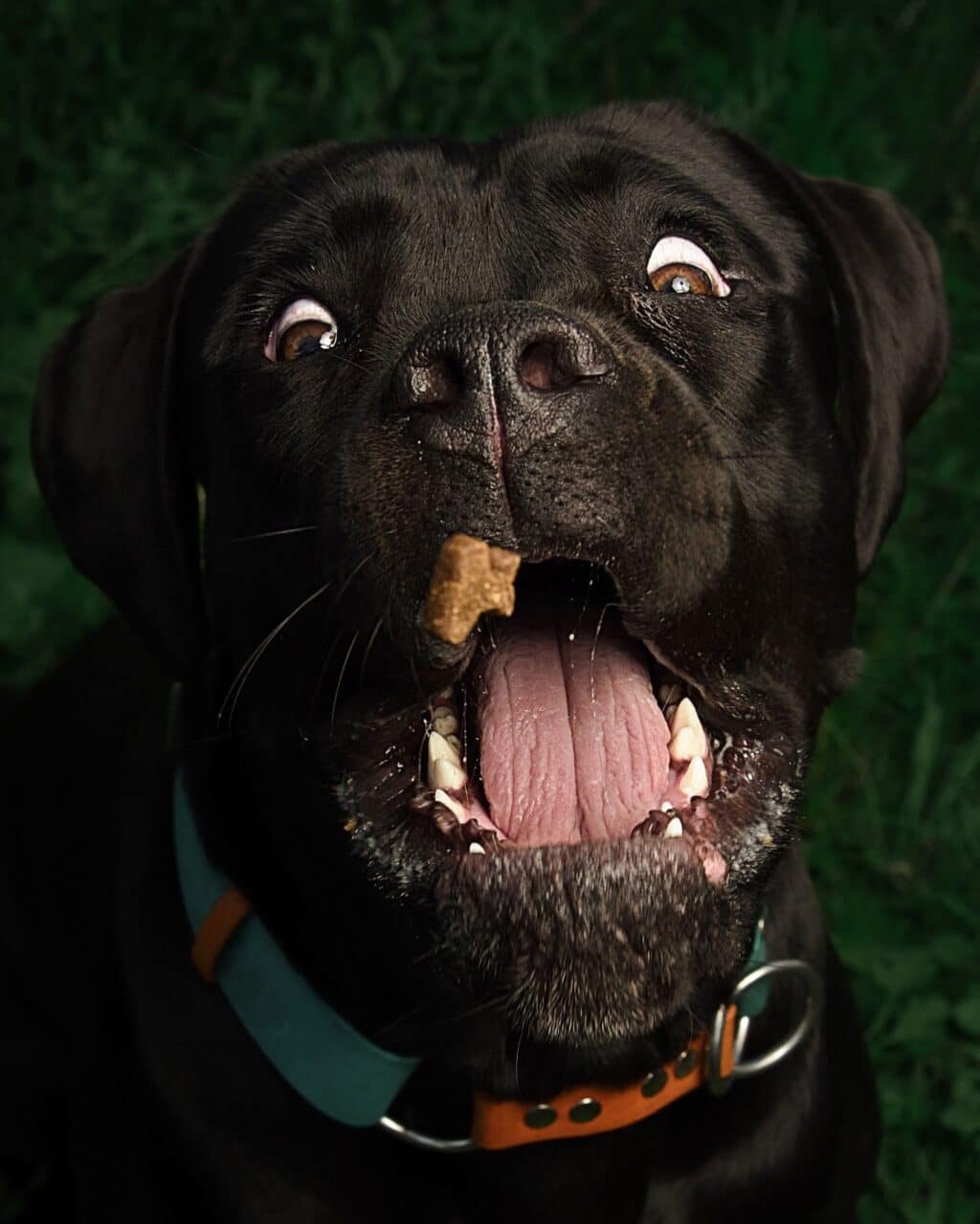 Instagram post from hanyphotography.gdynia. This post is in position 2.