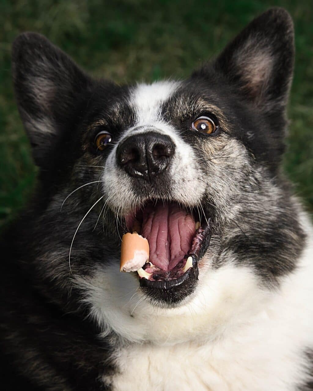 Instagram post from hanyphotography.gdynia. This post is in position 0.