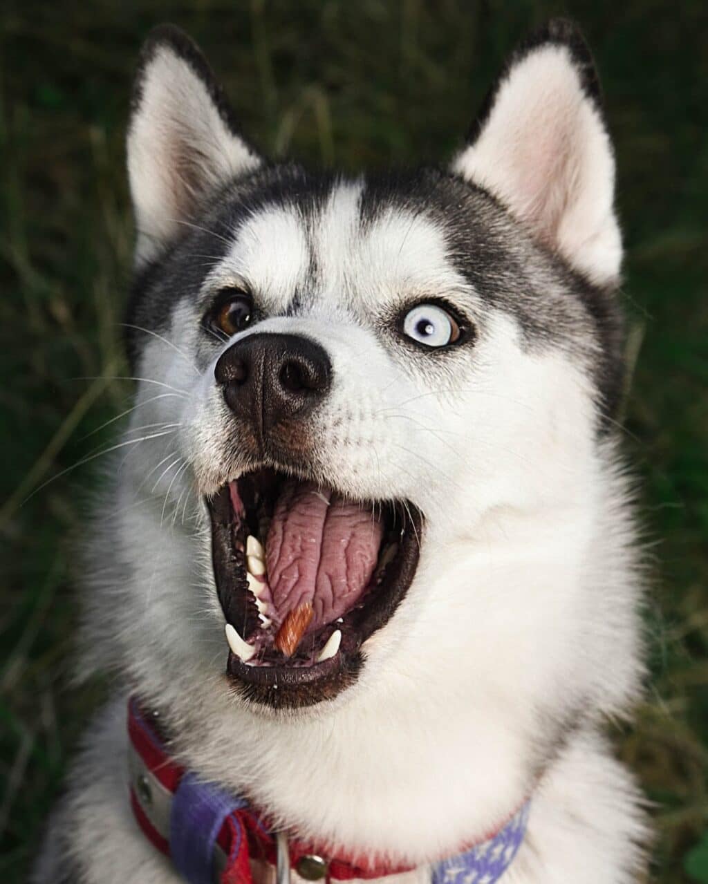 Instagram post from hanyphotography.gdynia. This post is in position 2.