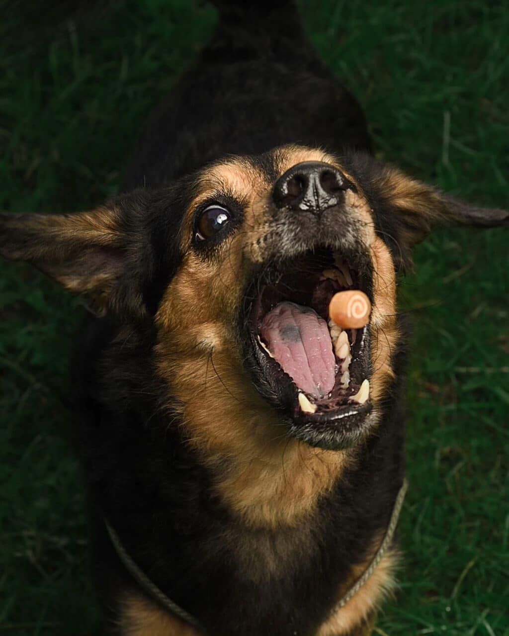 Instagram post from hanyphotography.gdynia. This post is in position 2.