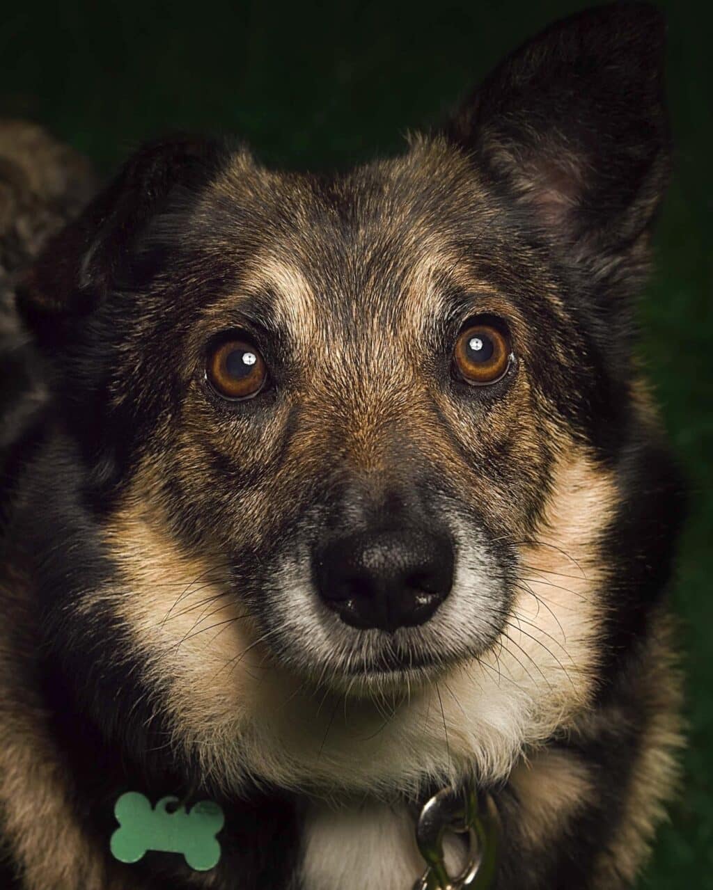 Instagram post from hanyphotography.gdynia. This post is in position 1.