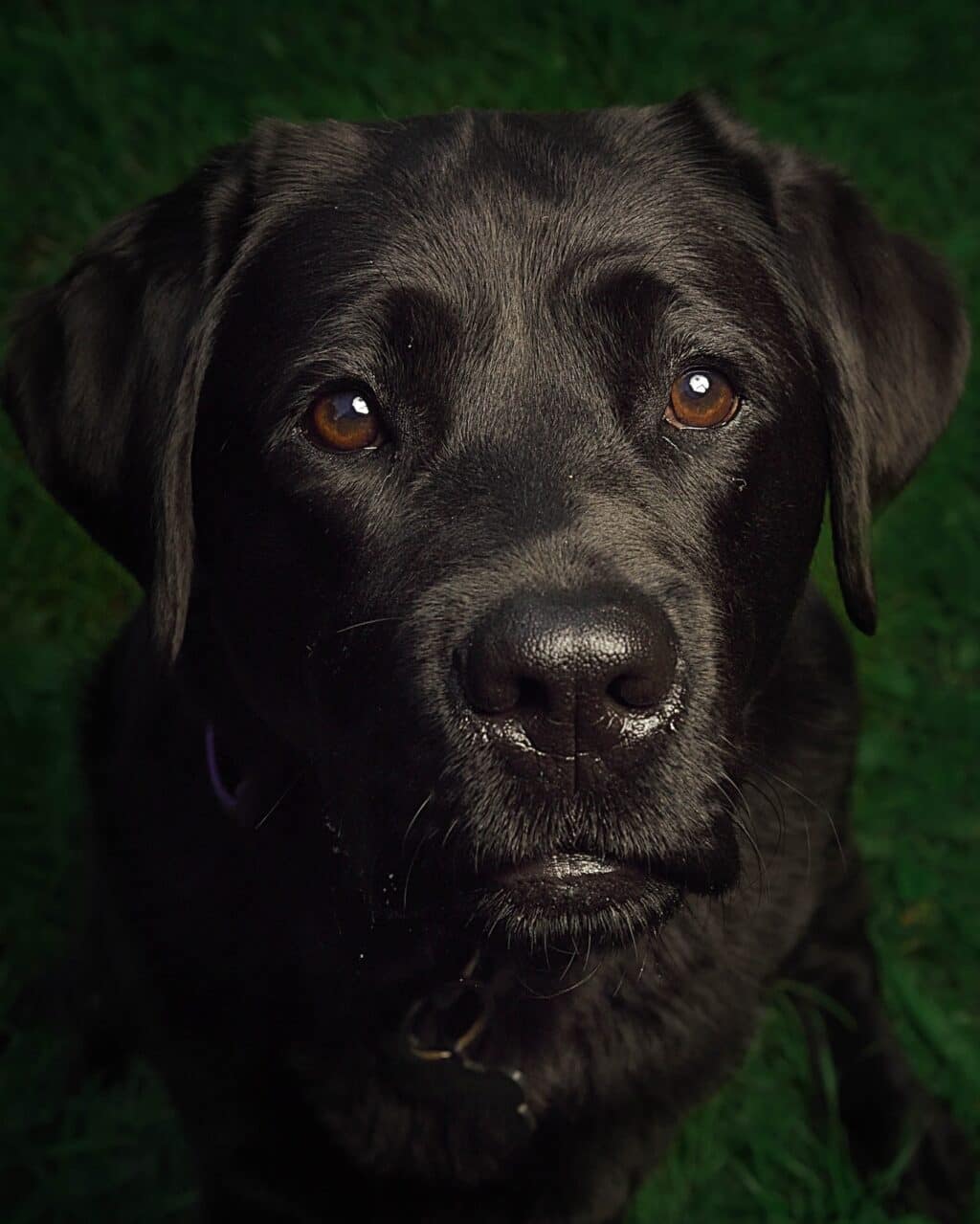 Instagram post from hanyphotography.gdynia. This post is in position 1.