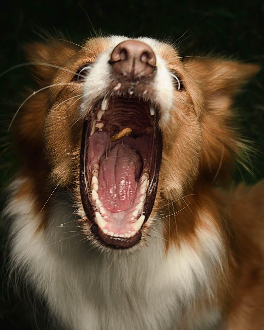 Instagram post from hanyphotography.gdynia. This post is in position 2.