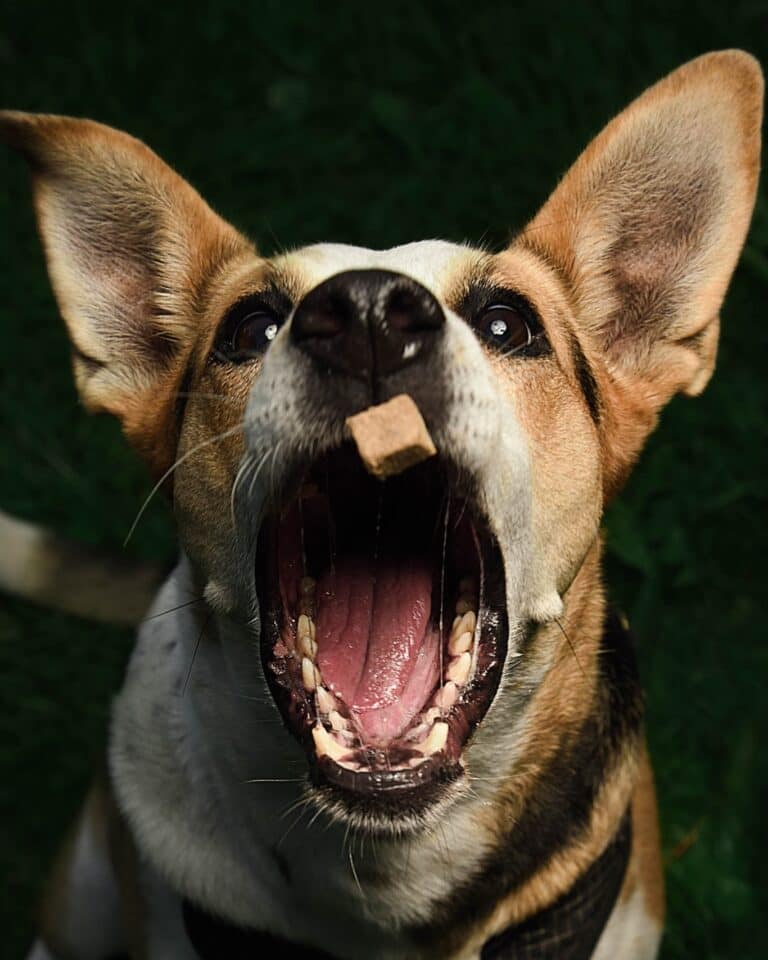 Instagram post from hanyphotography.gdynia. This post is in position 1.