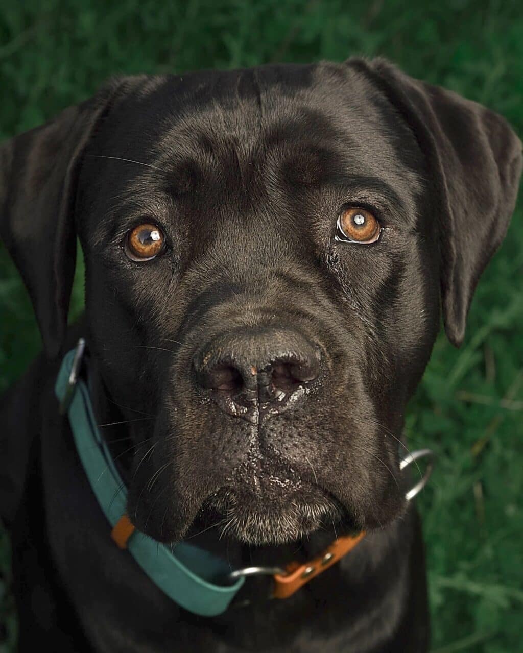 Instagram post from hanyphotography.gdynia. This post is in position 1.